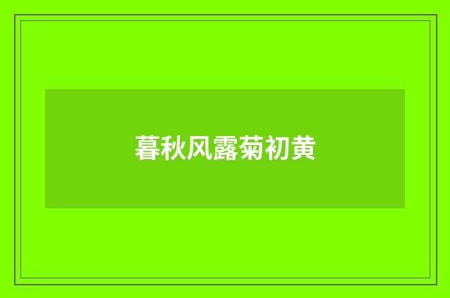 暮秋风露菊初黄