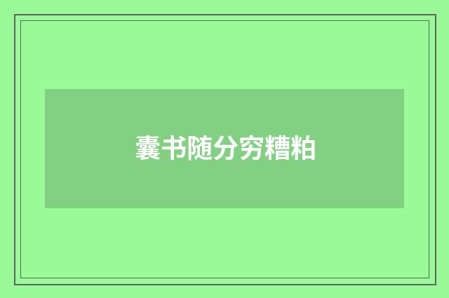 囊书随分穷糟粕