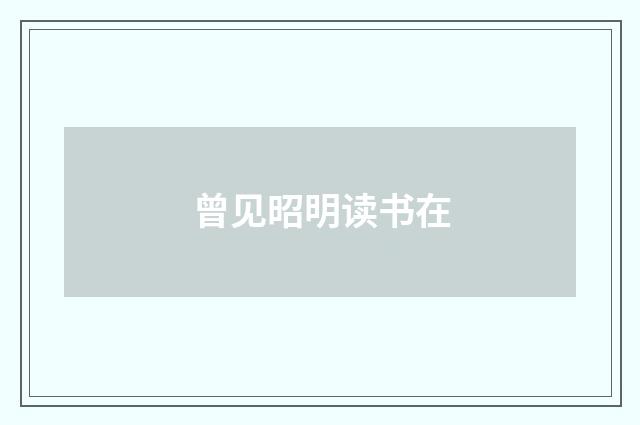 曾见昭明读书在