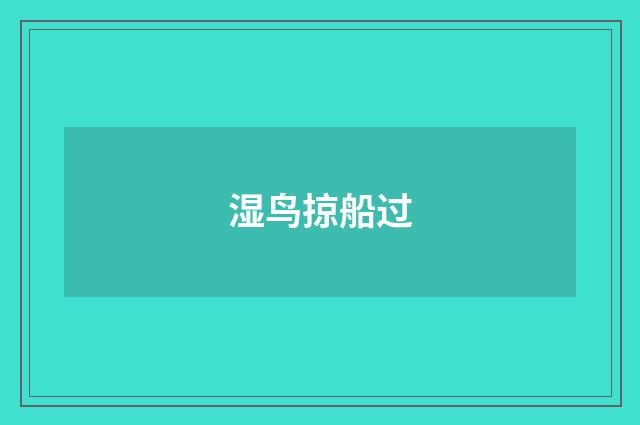 湿鸟掠船过