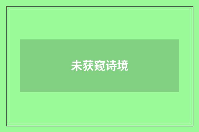 未获窥诗境