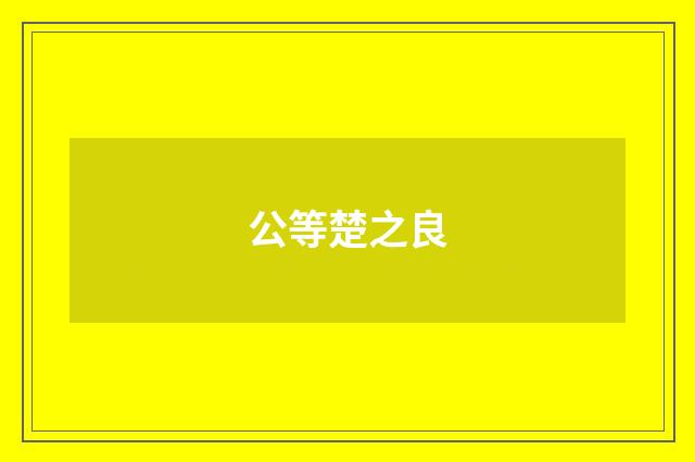 公等楚之良