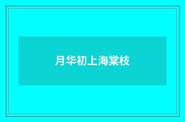 月华初上海棠枝