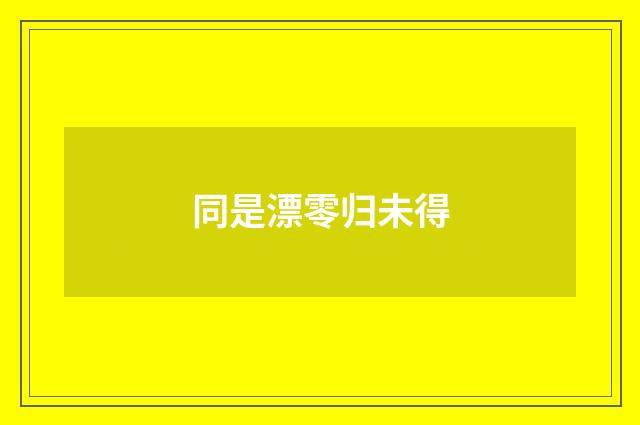 同是漂零归未得