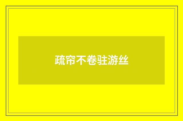 疏帘不卷驻游丝