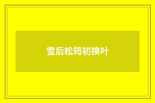 雪后松筠初换叶