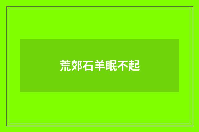 荒郊石羊眠不起