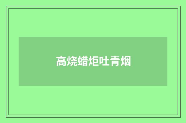 高烧蜡炬吐青烟