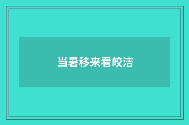 当暑移来看皎洁