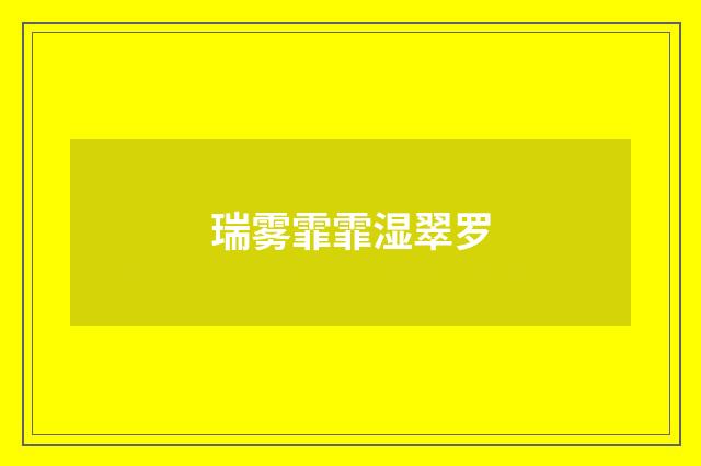 瑞雾霏霏湿翠罗