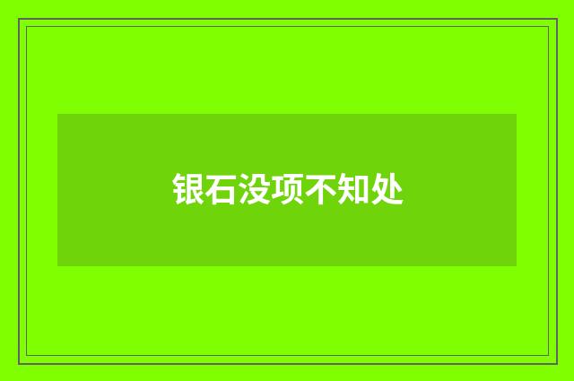 银石没项不知处