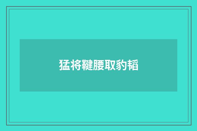 猛将鞬腰取豹韬