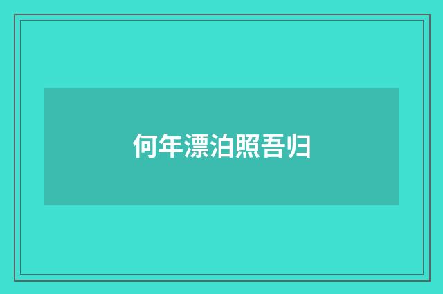 何年漂泊照吾归