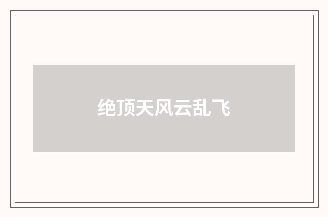 绝顶天风云乱飞