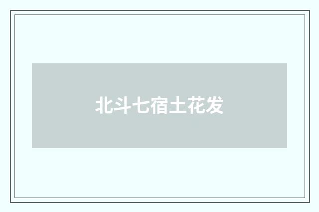 北斗七宿土花发
