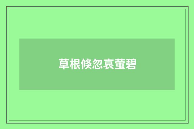 草根倏忽哀萤碧