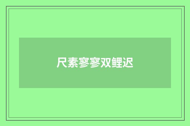 尺素寥寥双鲤迟