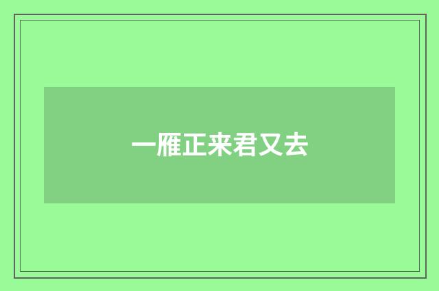 一雁正来君又去