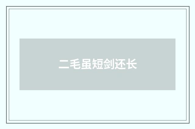 二毛虽短剑还长