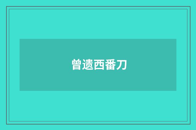 曾遗西番刀