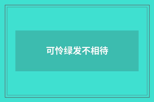 可怜绿发不相待