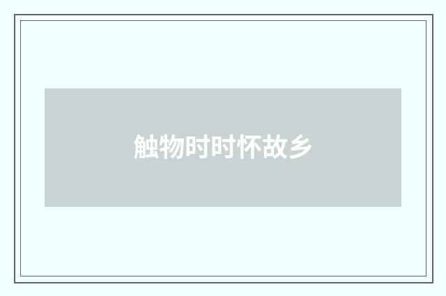 触物时时怀故乡