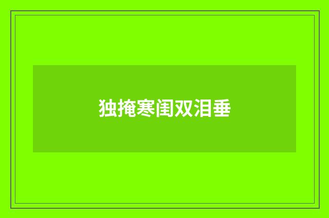 独掩寒闺双泪垂