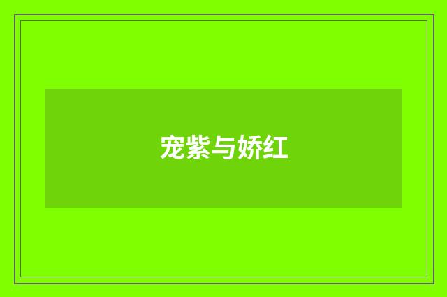 宠紫与娇红
