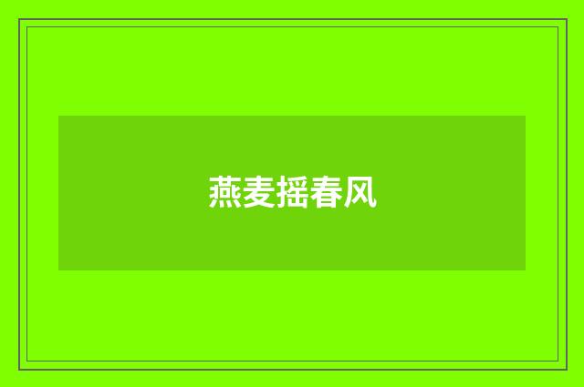 燕麦摇春风