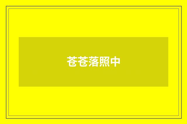 苍苍落照中