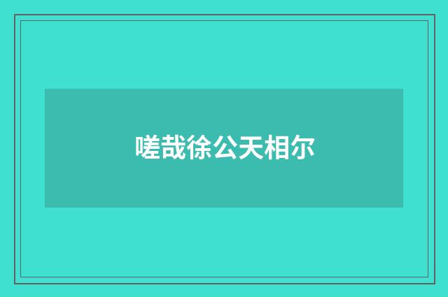 嗟哉徐公天相尔