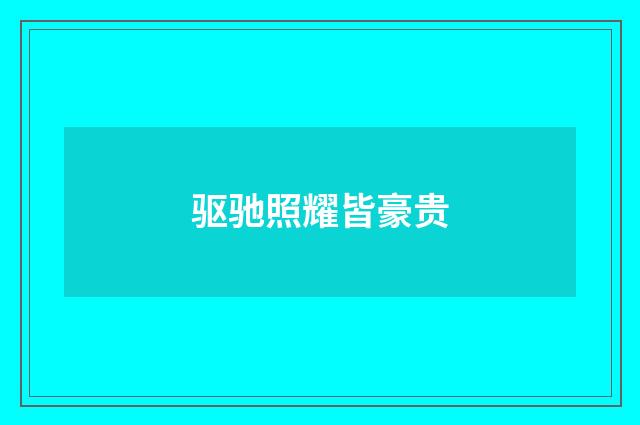 驱驰照耀皆豪贵