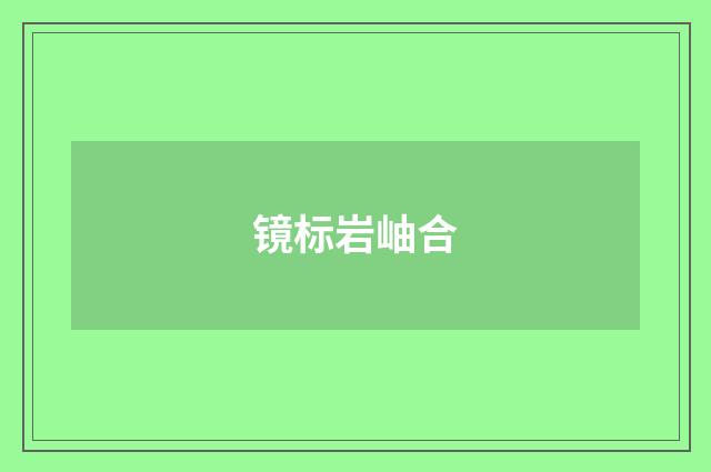 镜标岩岫合