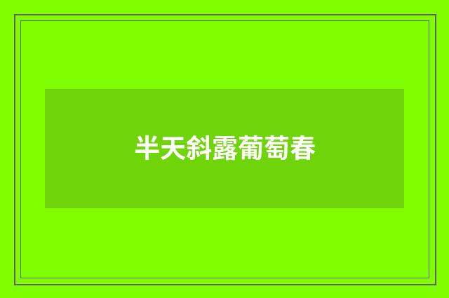 半天斜露葡萄春