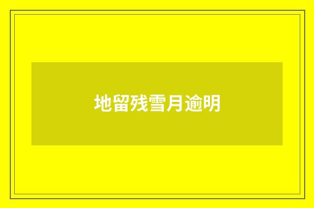 地留残雪月逾明