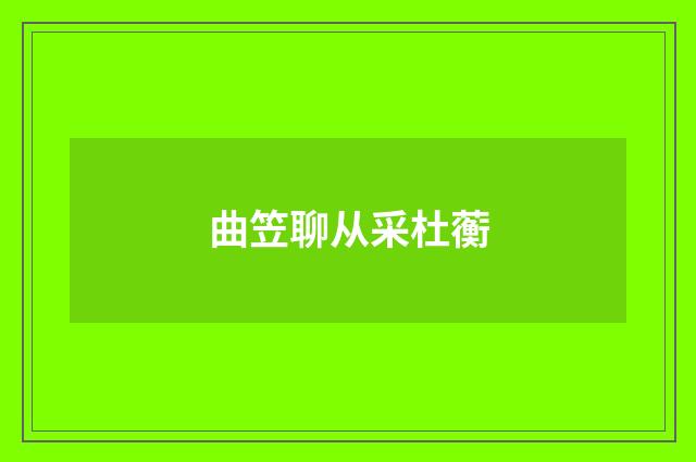 曲笠聊从采杜蘅