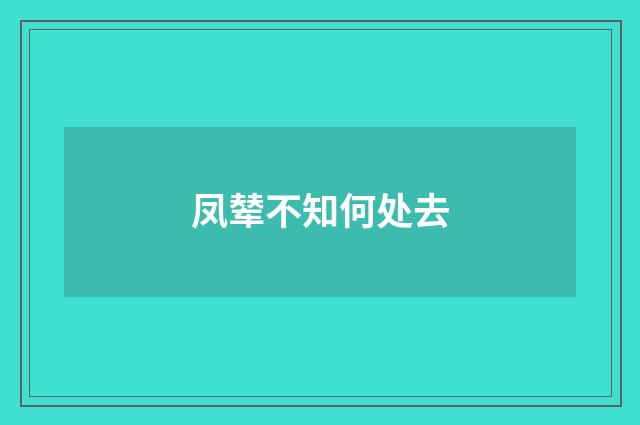 凤辇不知何处去