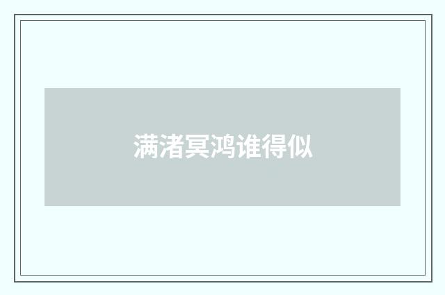 满渚冥鸿谁得似