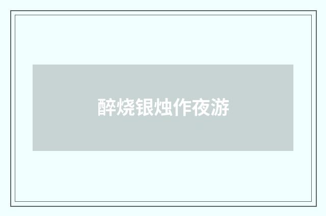 醉烧银烛作夜游