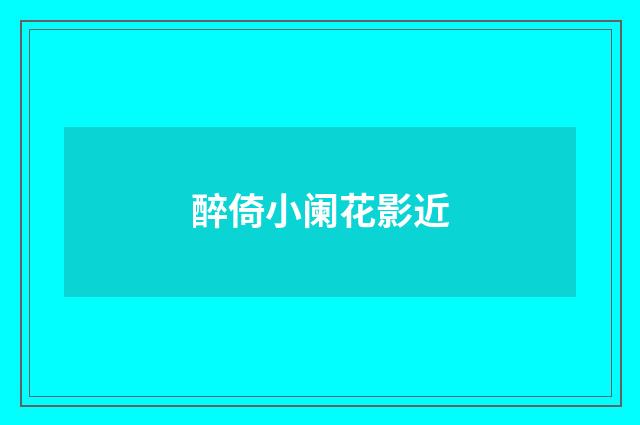 醉倚小阑花影近