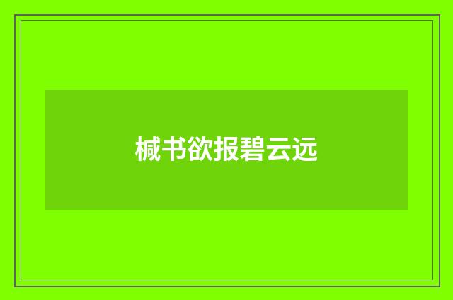 椷书欲报碧云远