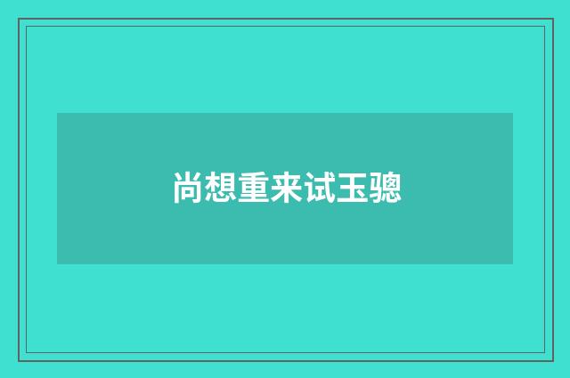 尚想重来试玉骢