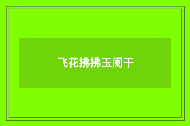 飞花拂拂玉阑干