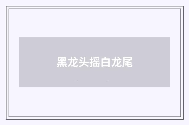 黑龙头摇白龙尾