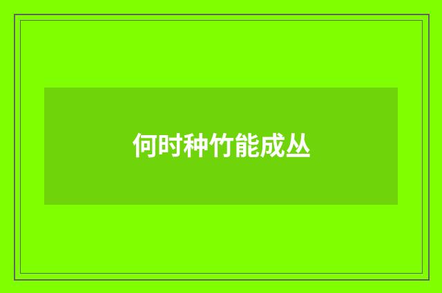 何时种竹能成丛
