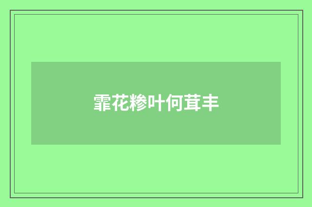 霏花糁叶何茸丰
