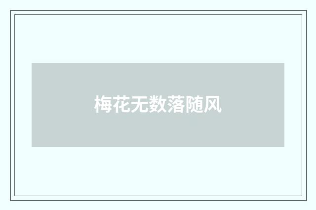梅花无数落随风