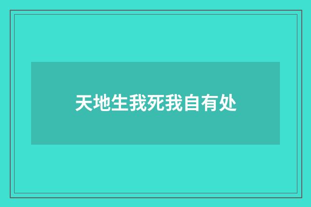 天地生我死我自有处