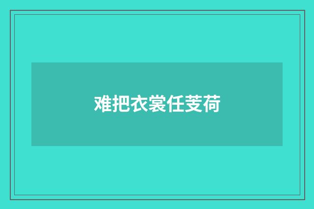 难把衣裳任芰荷