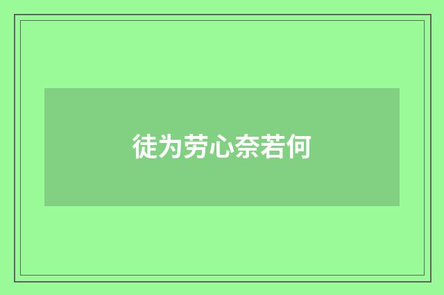 徒为劳心奈若何